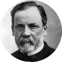 1667 Louis Pasteur