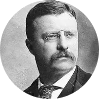553 Theodore Roosevelt